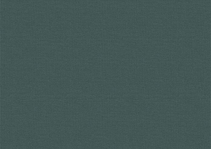 Astoria, Alpine Moss - Roman Blind - Image 7